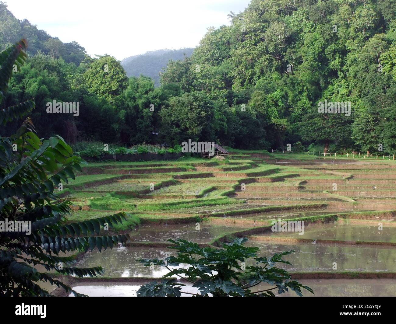 Mae hong son food hi-res stock photography and images - Alamy