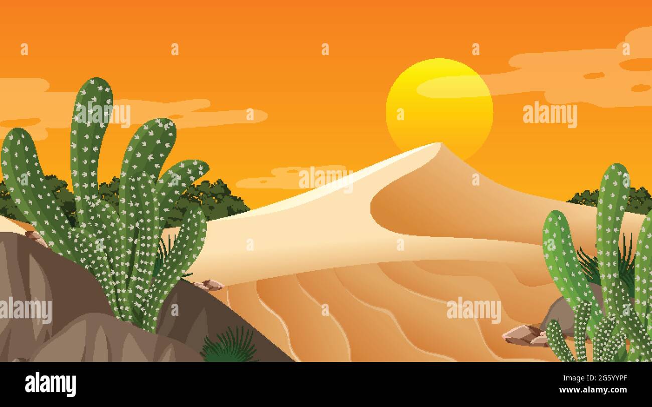Desert forest landscape at sunset time scene with many cactuses ...