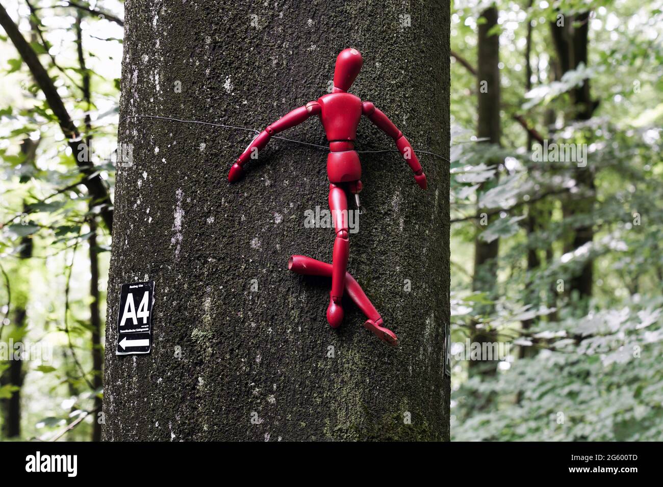 Red wooden figures are tied to trees in a german forest. With this