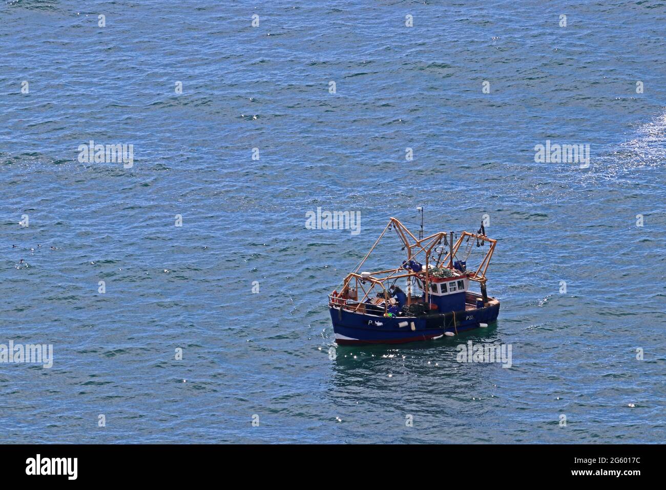 Fishing boat P11 'Ask Me' fishing off the coast of Anglesey, Wales Stock Photo