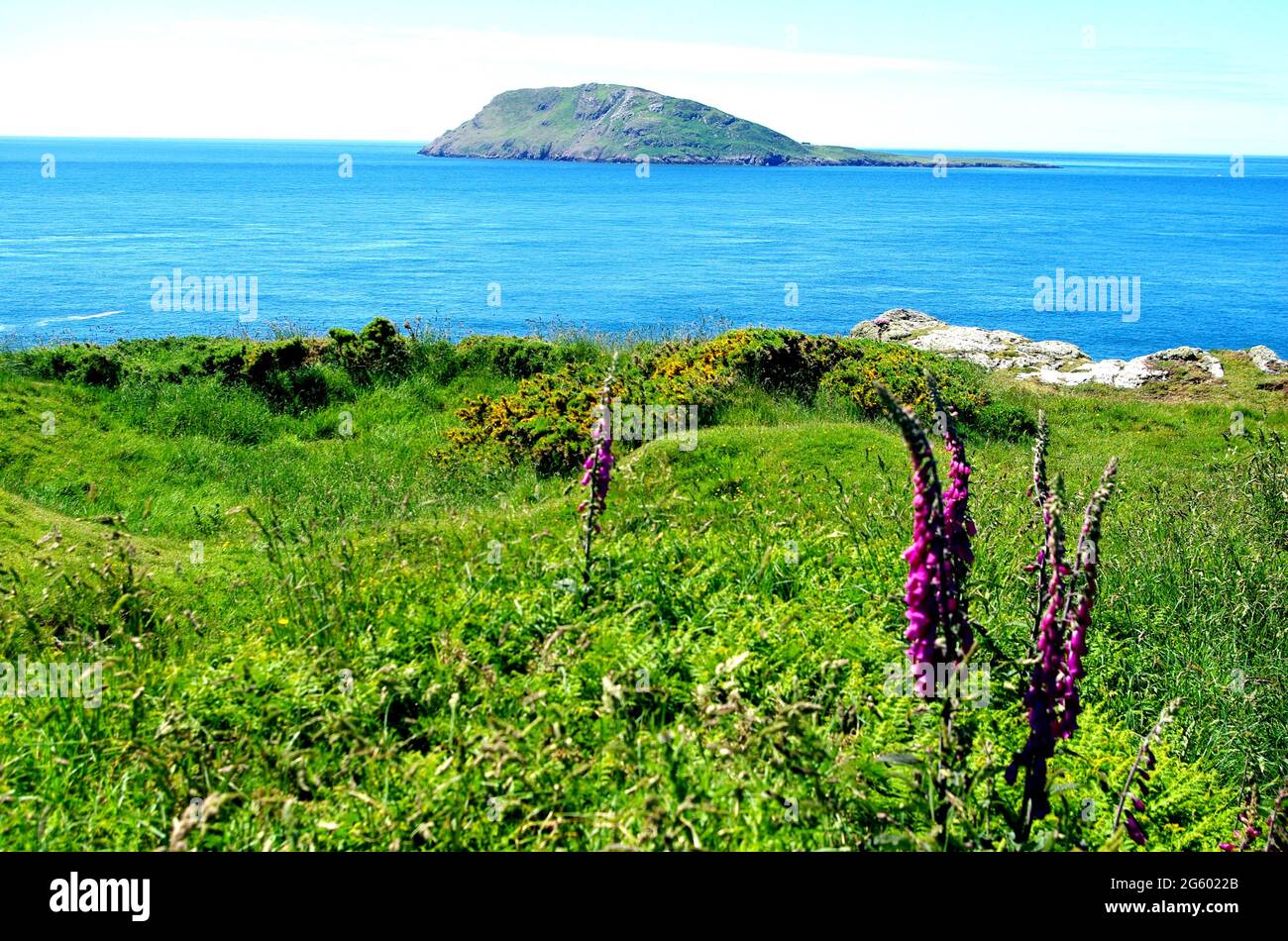 Summer 2021 panoramic shot of Bardsey Island from the tip of the Llyn Peninsula on the Wales Coastal Path, Gwynedd, North Wales, UK, Europe Stock Photo