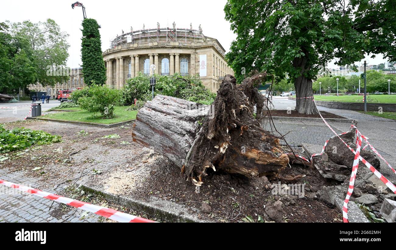 Stuttgart, Germany. 01st July, 2021. The roots of a tree that fell ...