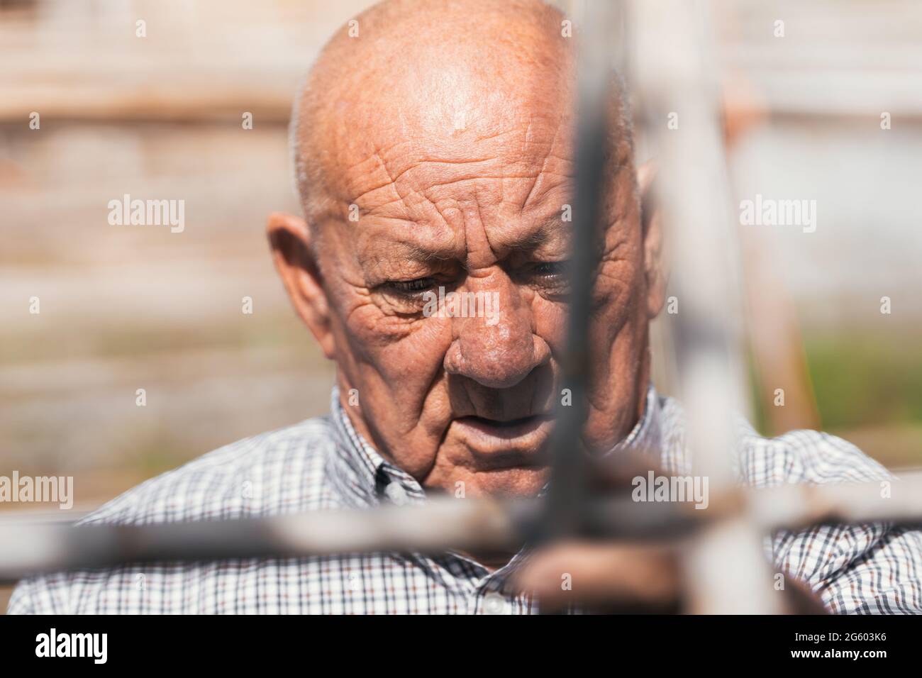 Portrait of a elder man working in a orchard Stock Photo
