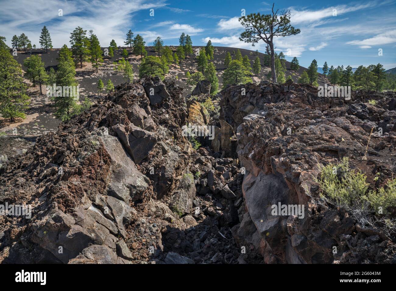 Squeeze-up section in Bonito Lava Flow, Sunset Crater Volcano National Monument, Arizona, USA Stock Photo