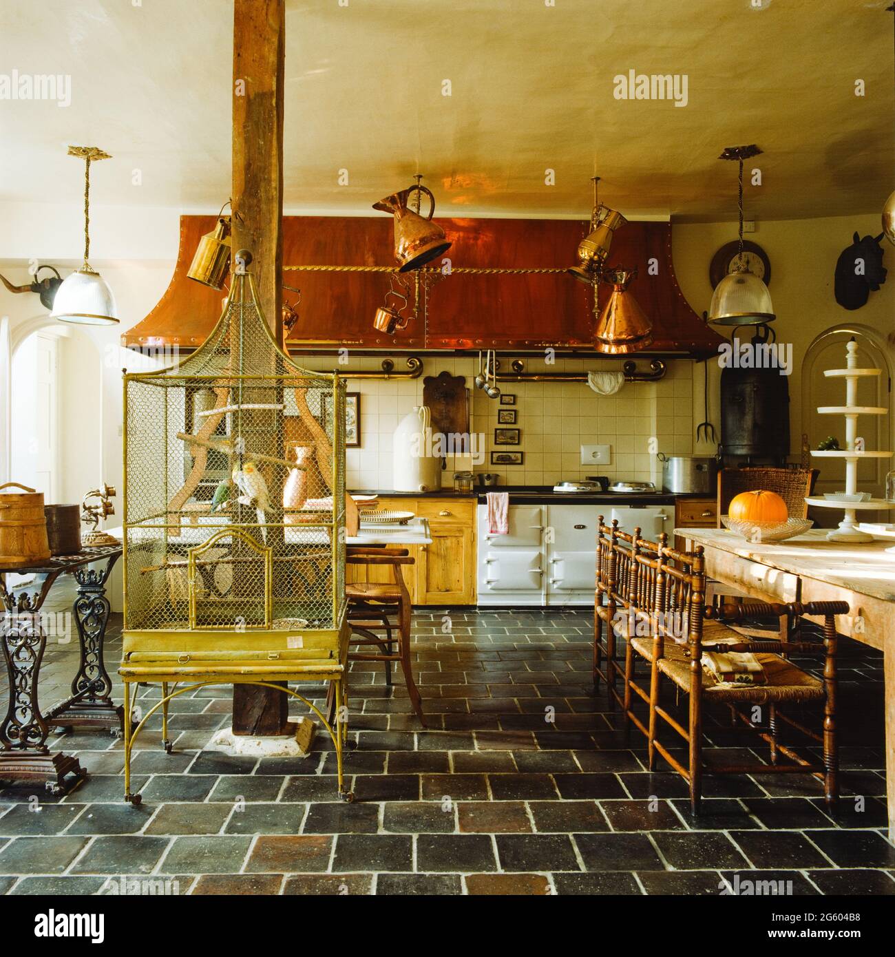 Bird cage in rustic kitchen Stock Photo Alamy