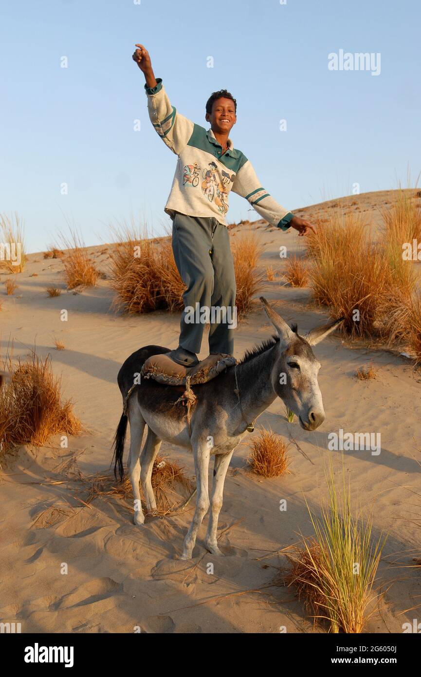 Young man boy riding his donkey standing up in Luxor, Egypt near the Valley of the Kings. Egyptian youth teenager animal middle east ride funny humour Stock Photo