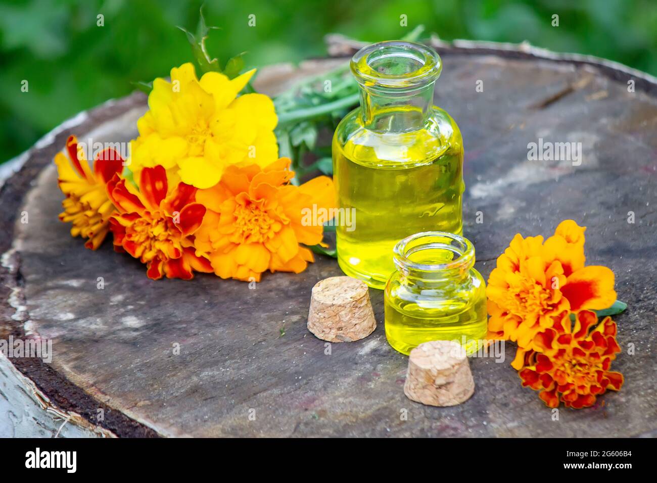 Medicinal herb flower selection hi-res stock photography and images - Alamy