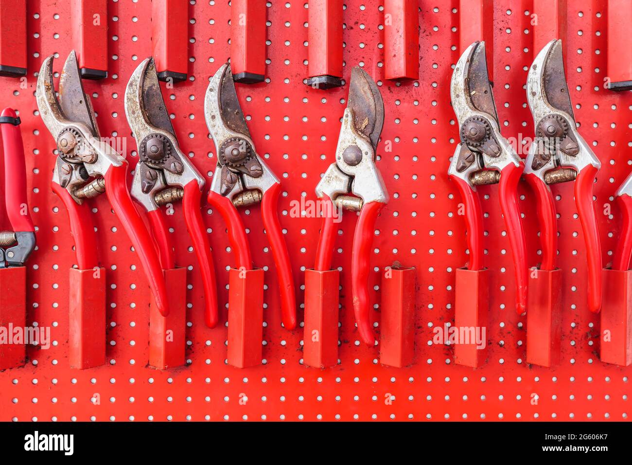 Row of red used garden shears hanging on a garden tool storage board Stock Photo