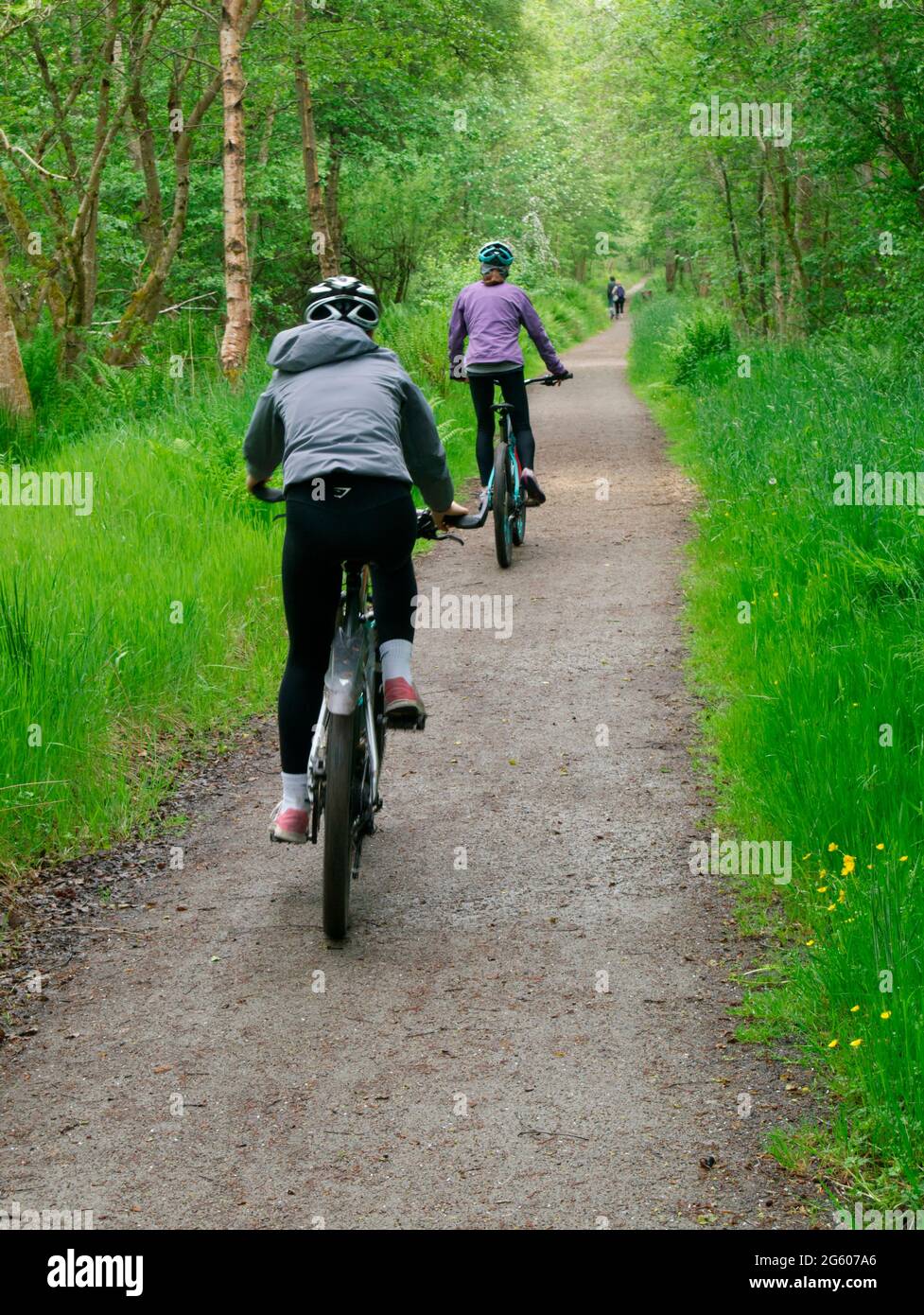 Cycling on the Speyside Way, Aberlour, Grampian Stock Photo