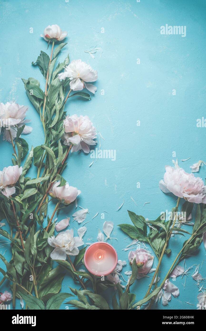 Blue background with pink pale peonies blooms , petals and burning candle . Top view Stock Photo