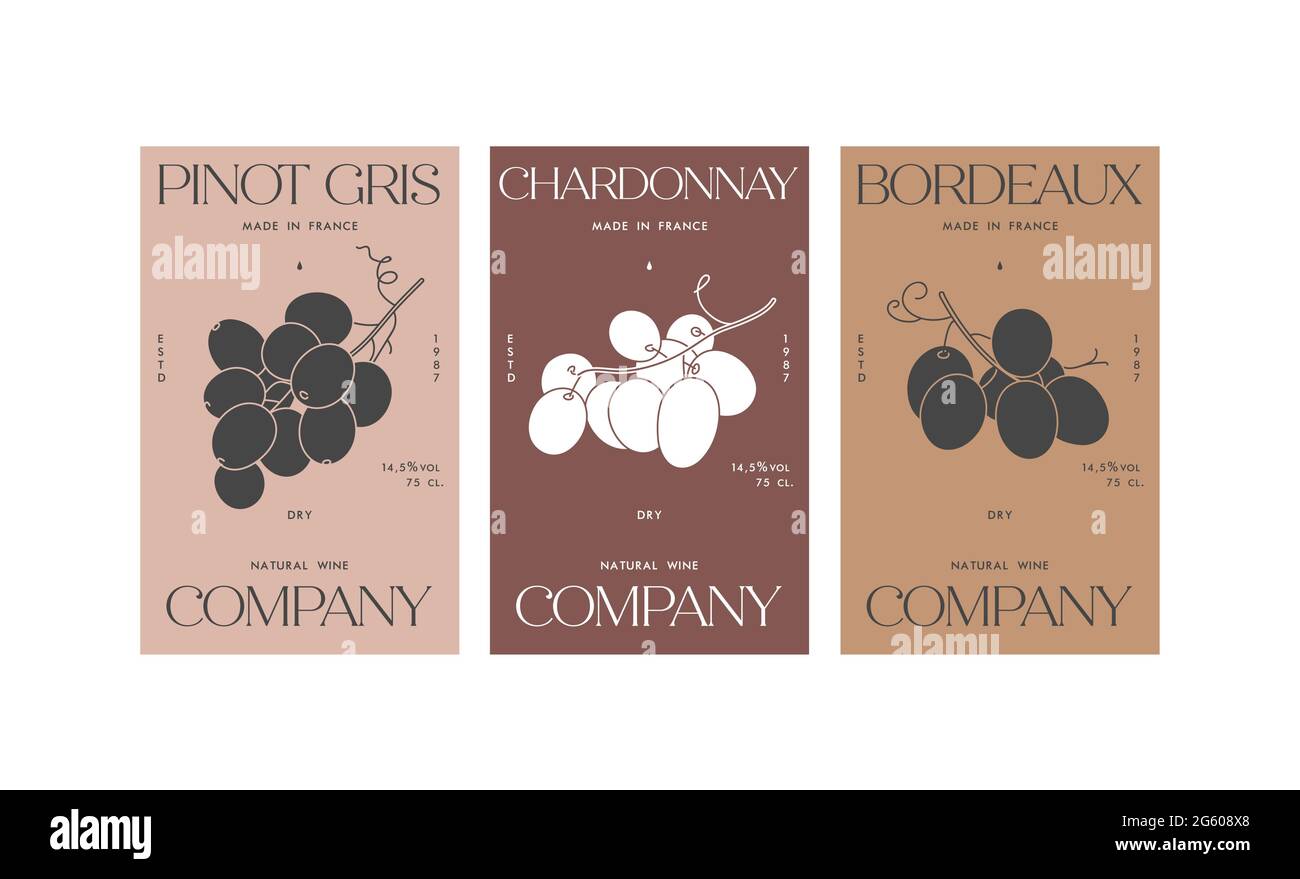 Vector set illustartion design labels for wine. Minimalistic and modern design with grape branch Stock Vector
