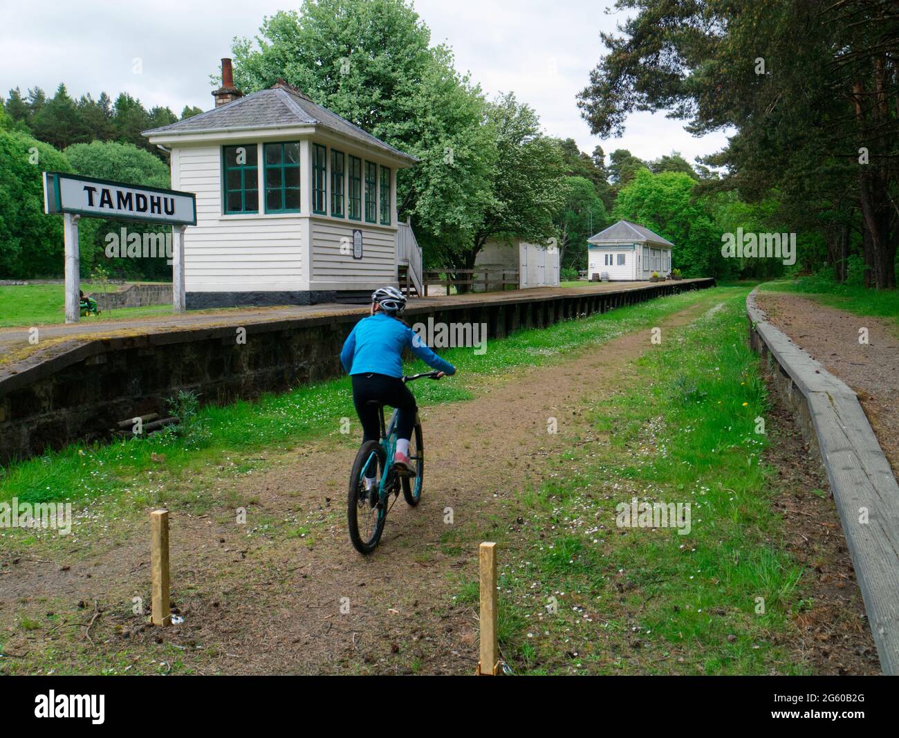 Cycling on Speyside Way disused railway line, Grampian Stock Photo