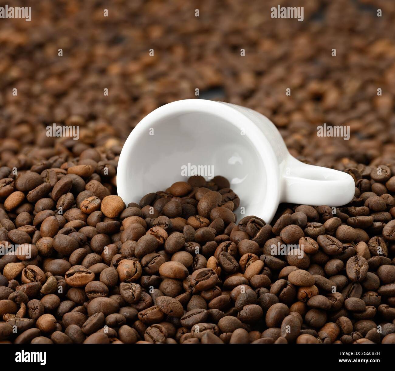white ceramic cup lies on a pile of brown roasted arabica and robusta