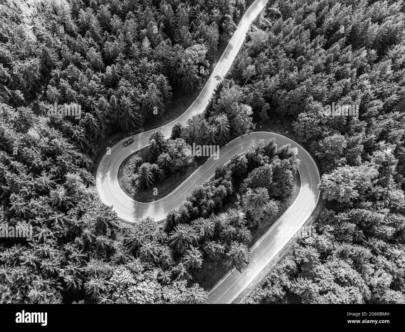 Road serpentine in the forest from above Stock Photo
