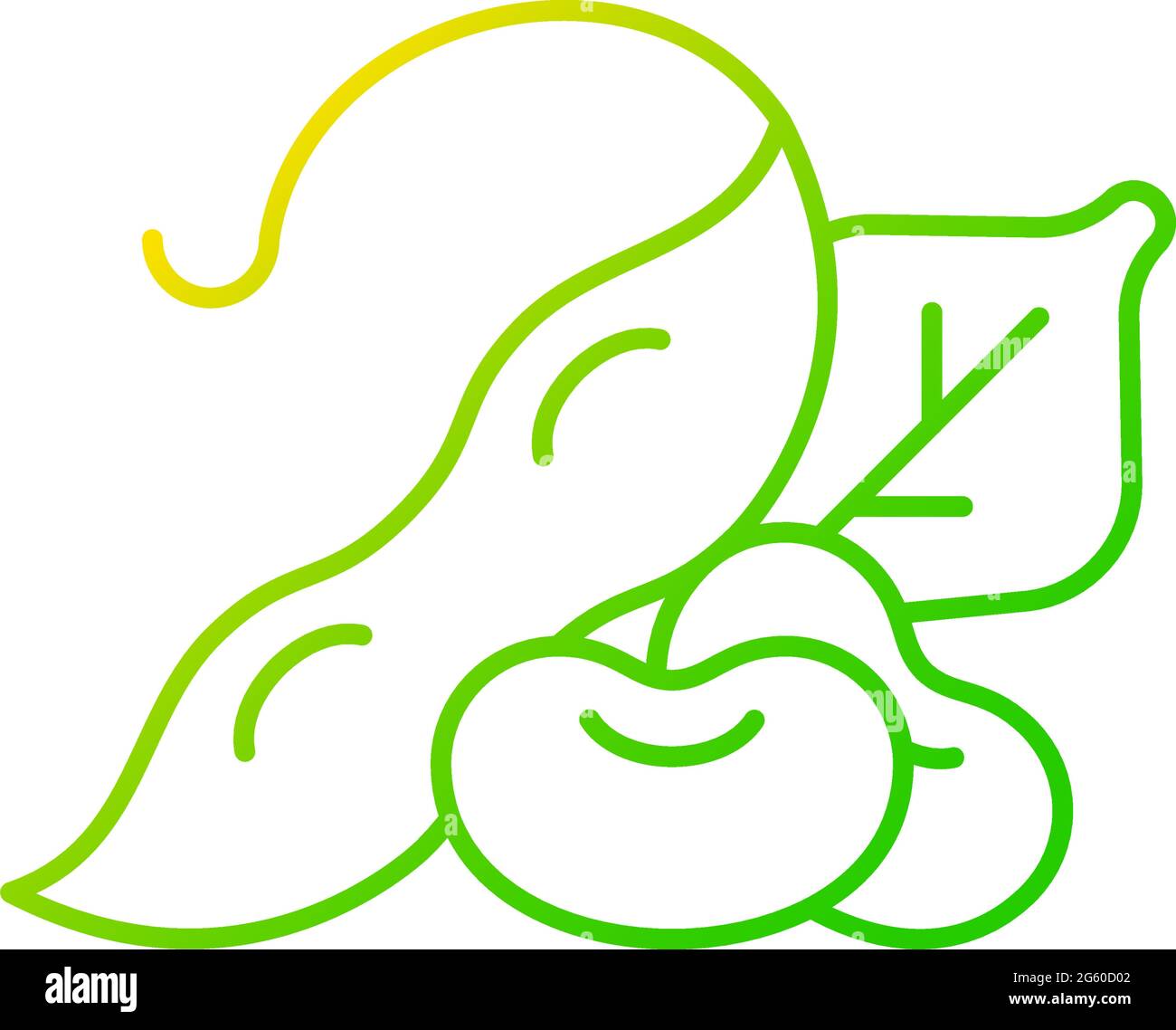 Edamame gradient linear vector icon Stock Vector