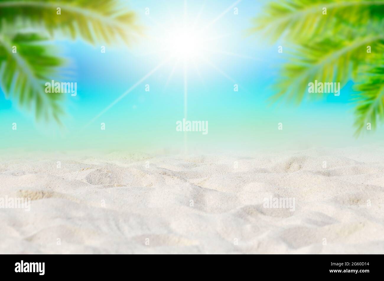 Summer vacation white sand beach with space for text coconut leaves rear frame sea view energetic floor Stock Photo