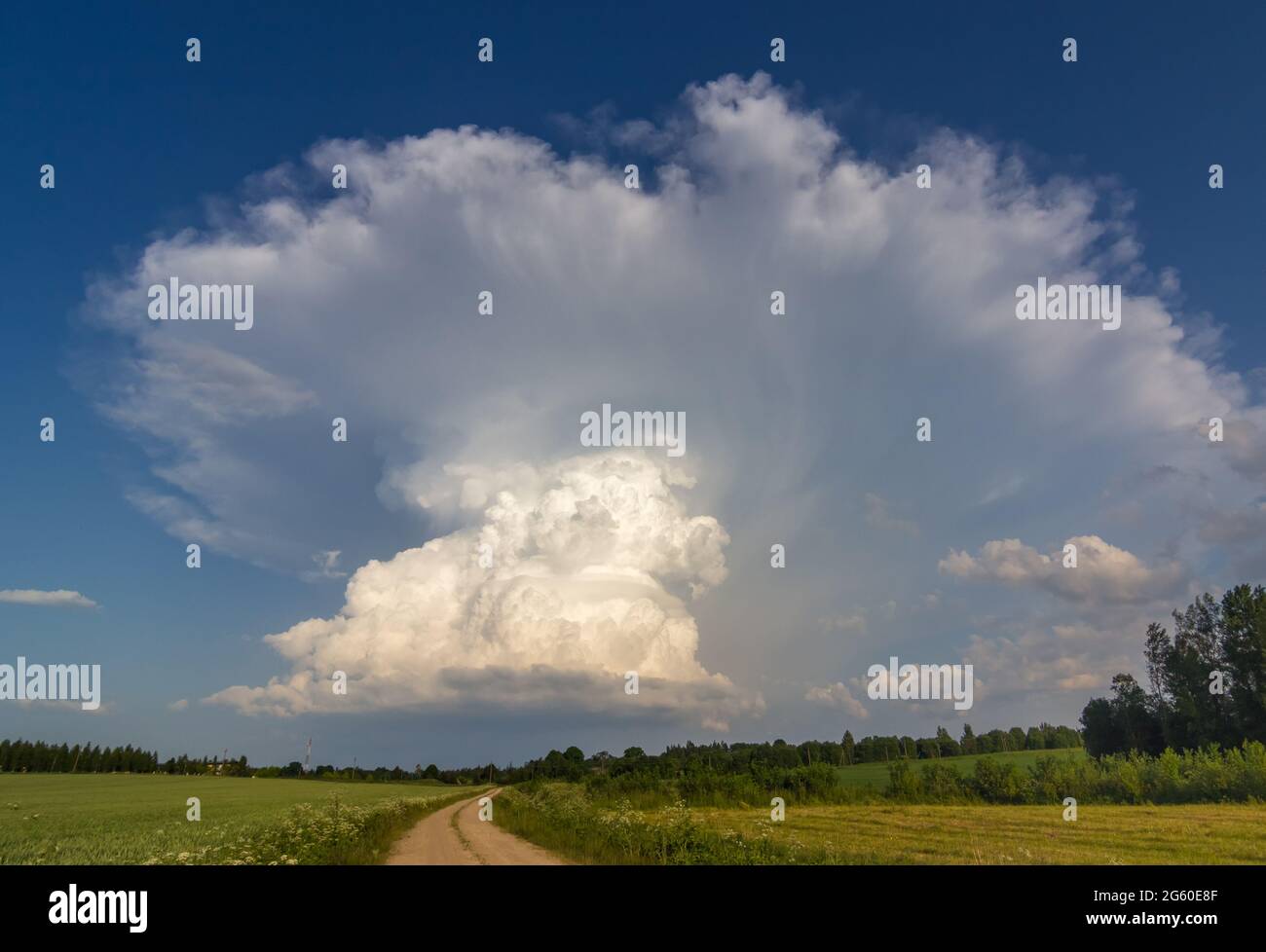 Cumulonimbus capillatus incus cloud, isolated storm cloud Stock Photo