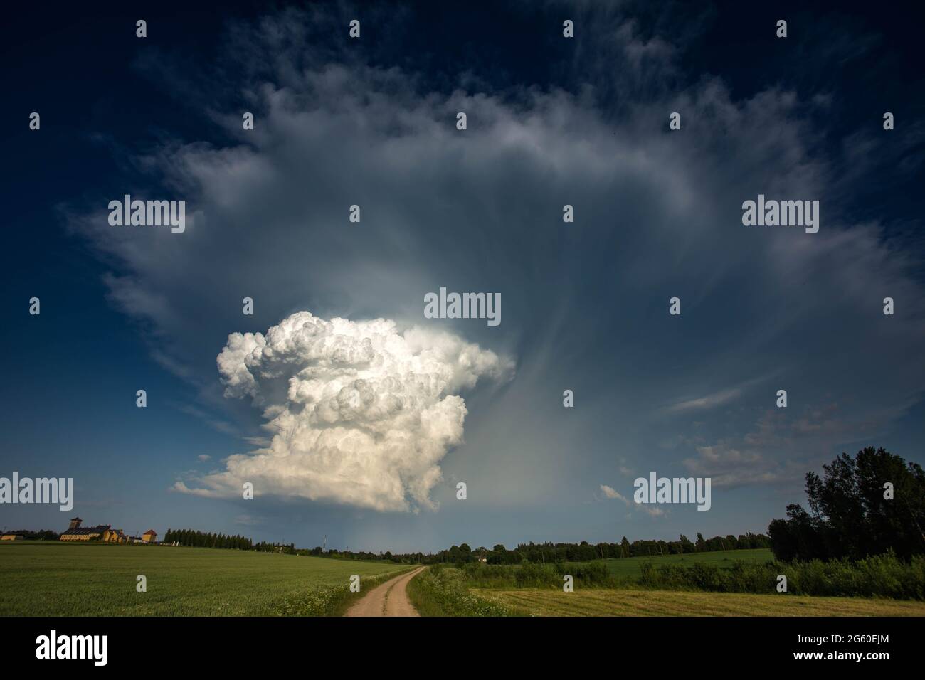 Cumulonimbus capillatus incus cloud, isolated storm cloud Stock Photo ...