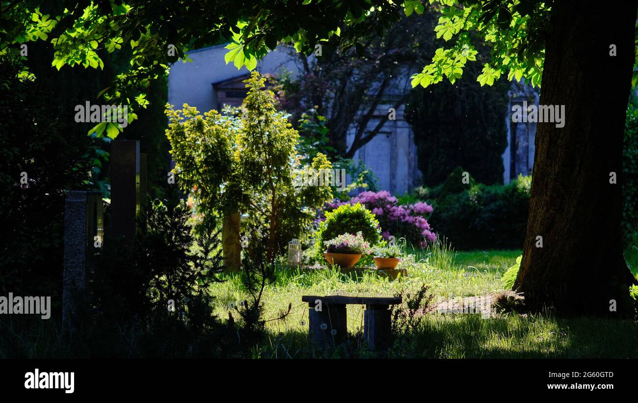 Berlin, Germany. 30th May, 2021. A small bench stands under a chestnut tree in the Luisenstädt cemetery. Credit: Stefan Jaitner/dpa/Alamy Live News Stock Photo