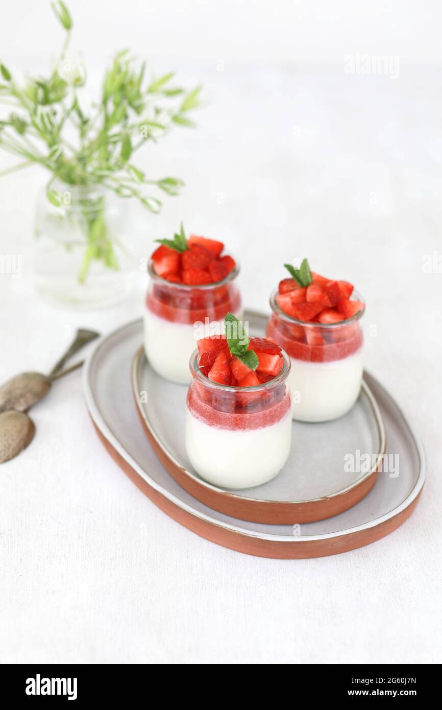 Italian dessert panna cotta with fruit jelly and fresh pieces of