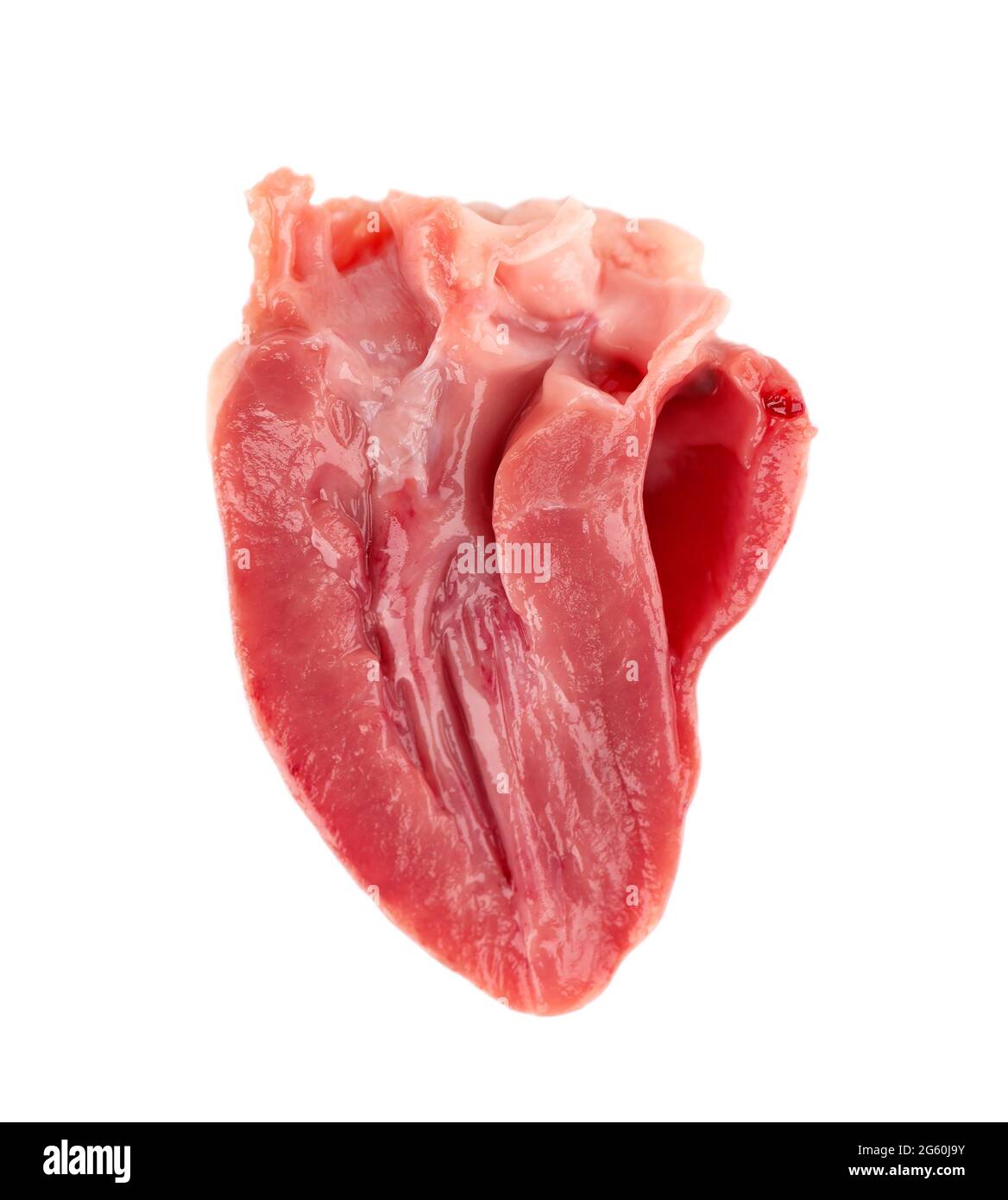 Chicken heart raw isolated on white background. Half fresh chicken broiler heart. Close up. Stock Photo