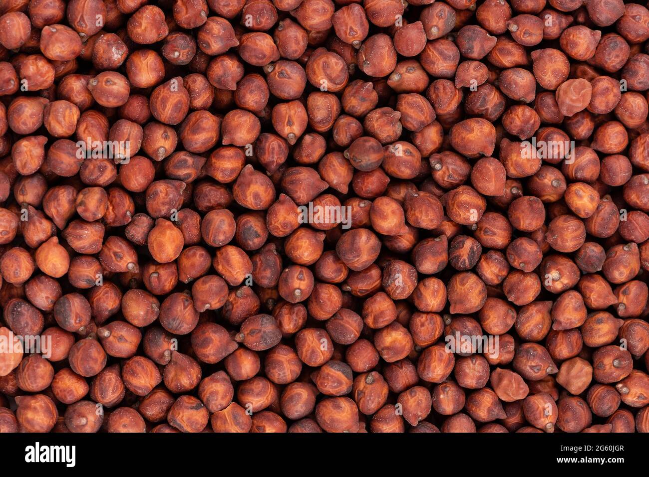 Brown chickpeas background. Red chickpea bean. Garbanzo, bengal gram or