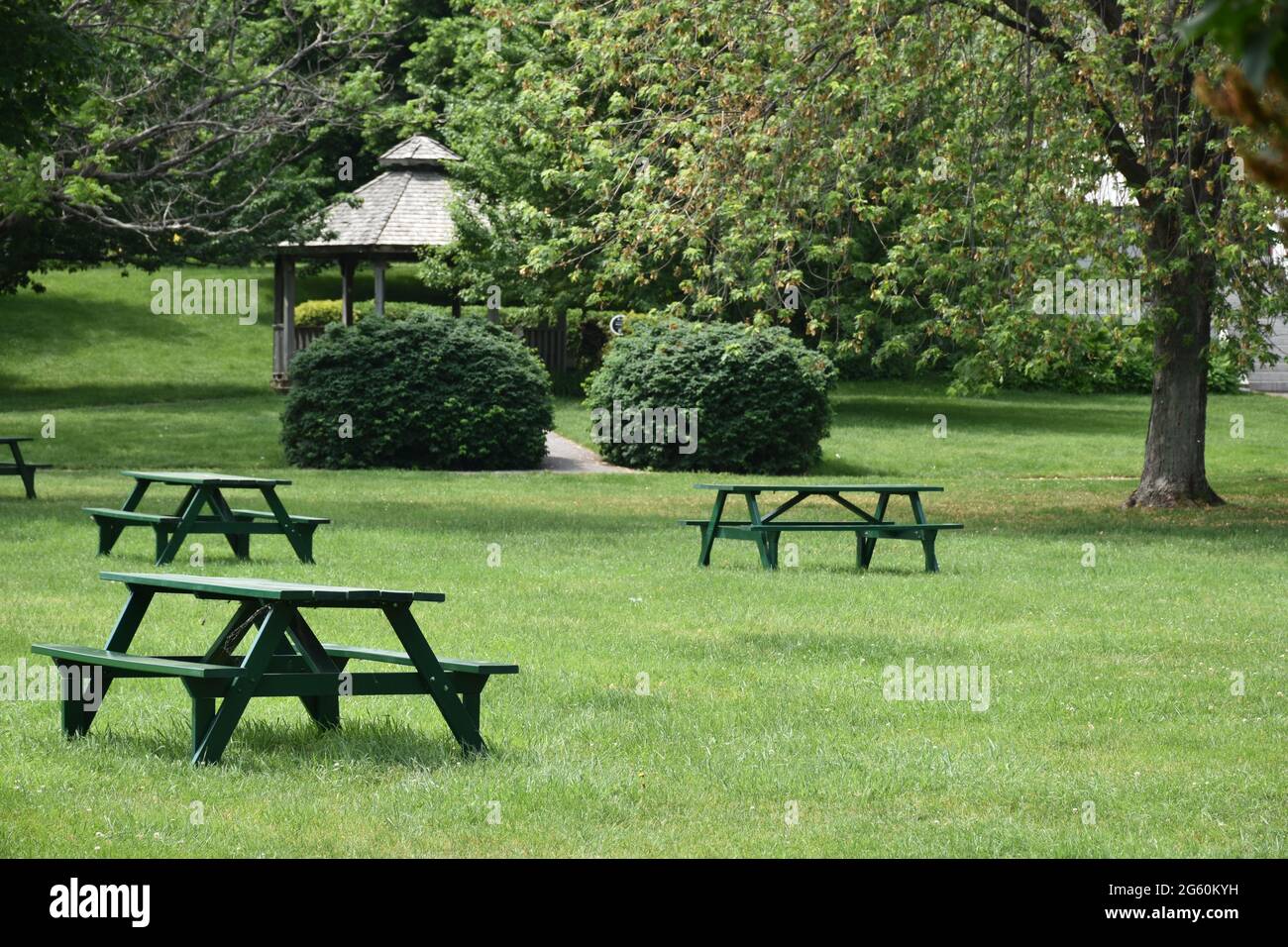 Picnic tables in a park in summer, Québec Stock Photo Alamy