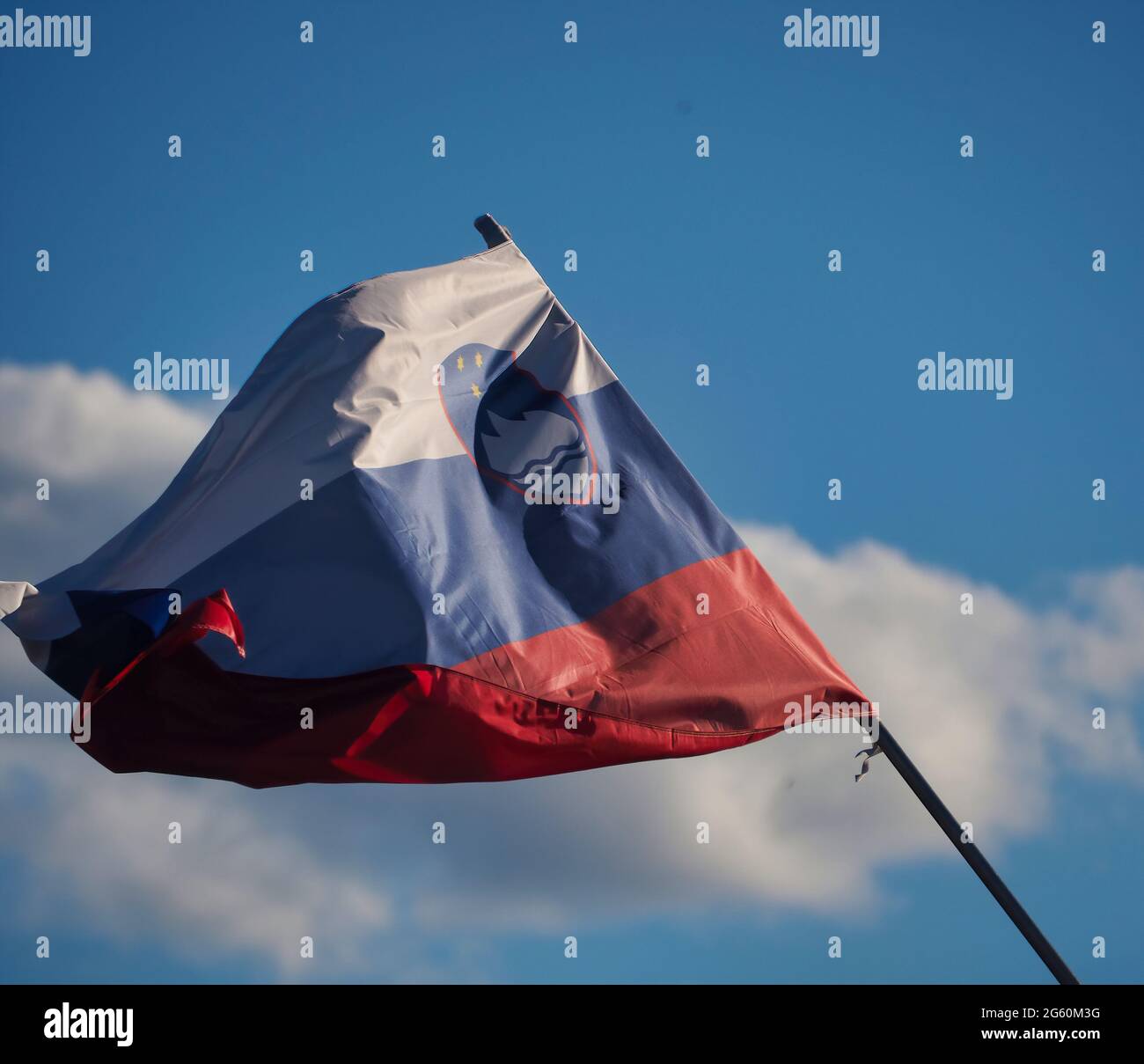 Flag of Slovenia waving in the sky Stock Photo