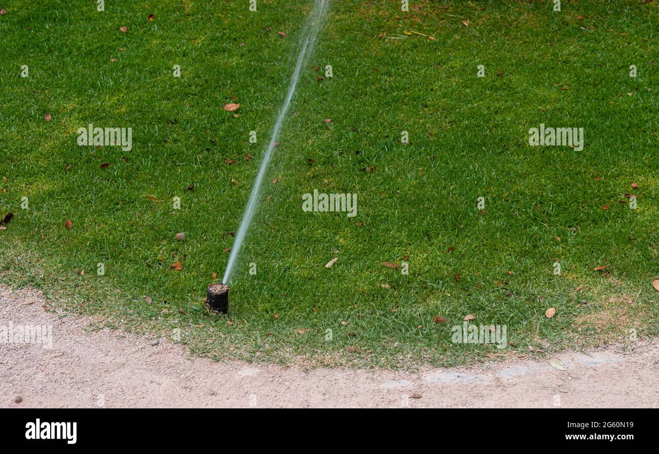 Garden irrigation system lawn. Selective focus.Irrigation System