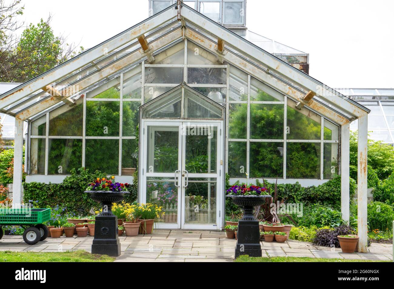 Landscape view of glass greenhouse in a park with bushes, trees ...