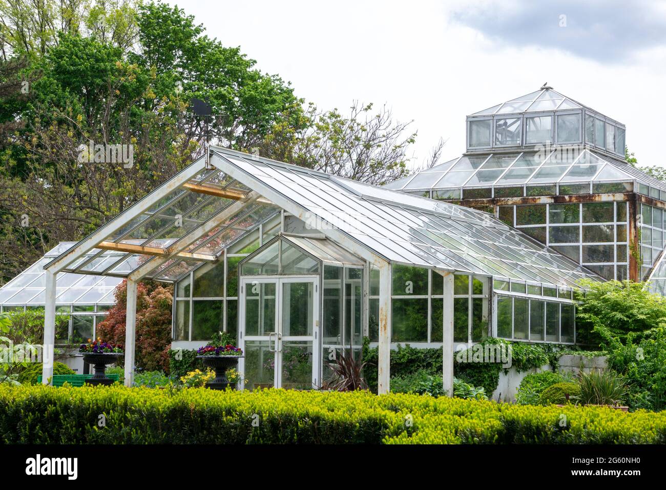 Landscape view of glass greenhouse in a park with bushes, trees ...