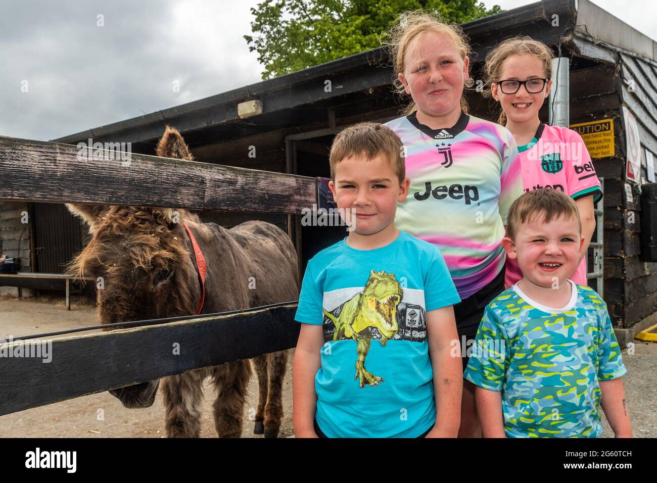 Liscarroll, Co. Cork, Ireland. 1st July, 2021. The Donkey Sanctuary in
