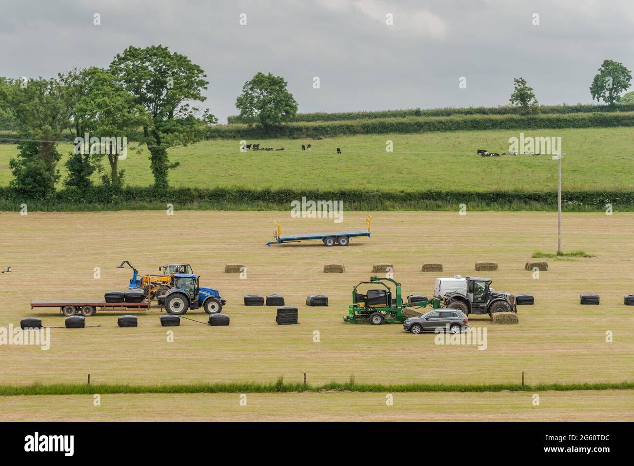 Liscarroll, Co. Cork, Ireland. 1st July, 2021. The Donkey Sanctuary in