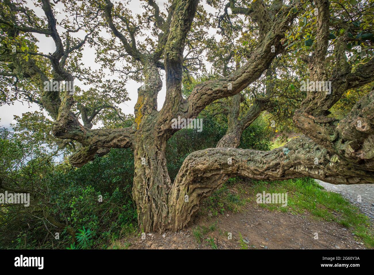 Cap sicie massif hires stock photography and images Alamy