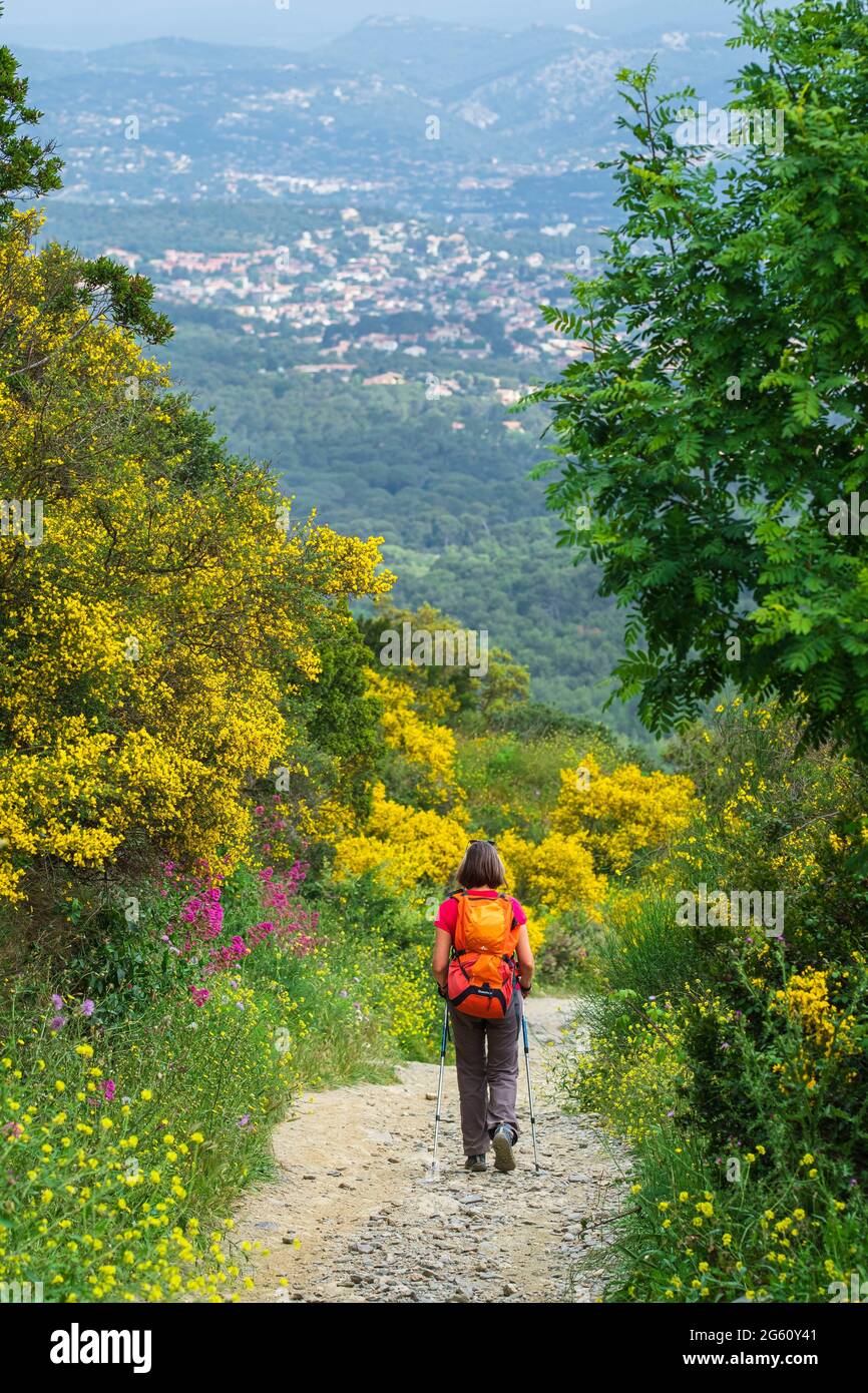 Cap sicie massif hires stock photography and images Alamy
