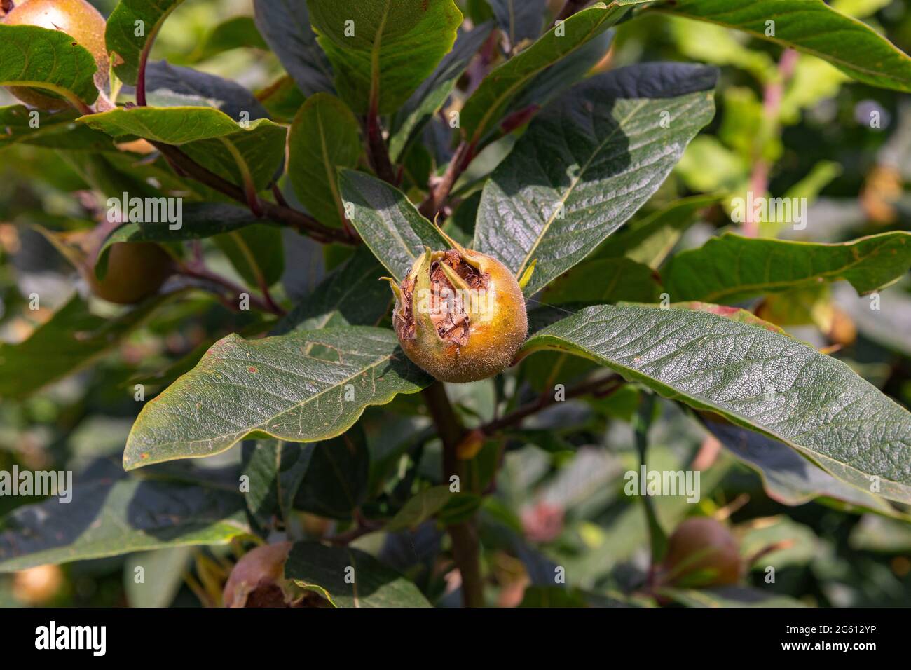 rencontre entre agri