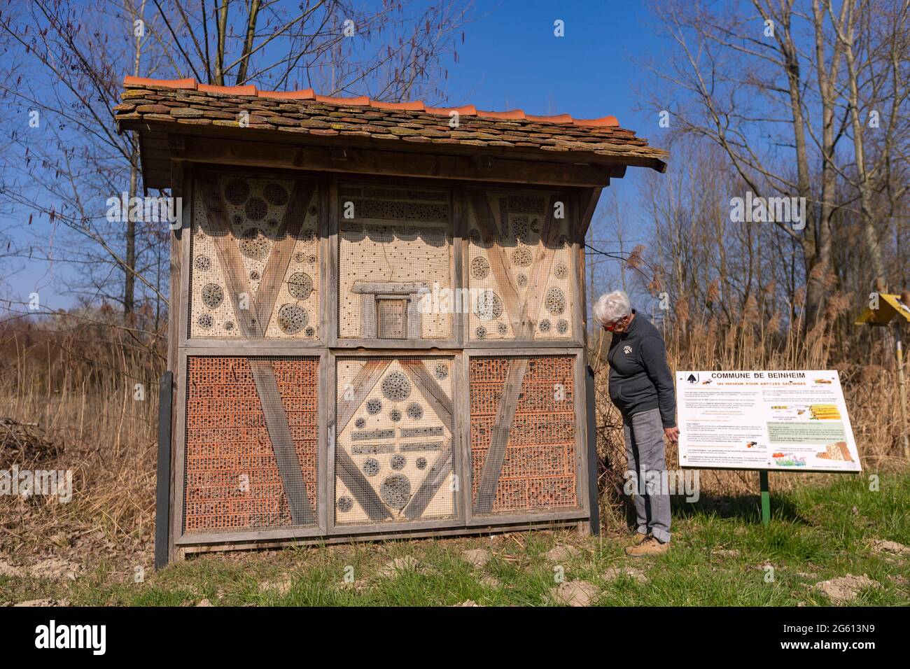 France, Bas Rhin, Beinheim, Large insect hotel, insect refuge made of different materials (bricks, reeds, stones, wood), refuge and breeding ground for many animals, especially hymenoptera insects, volunteer cleaning and resetting in France, Bas Rhin, Beinheim, Large insect hotel, insect refuge made of different materials (bricks, reeds, stones, wood), refuge and breeding ground for many animals, especially hymenoptera insects, volunteer cleaning and resetting in