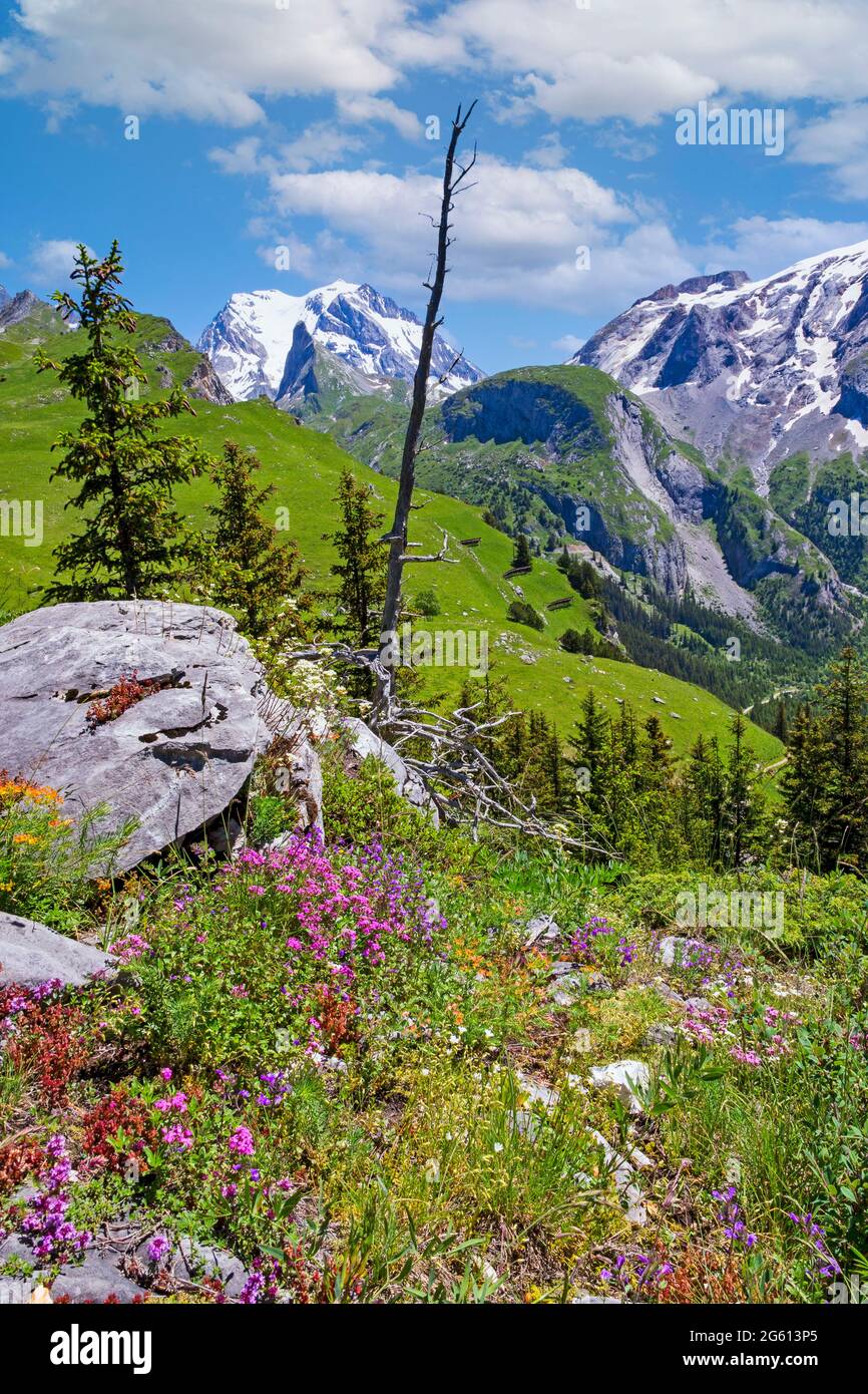 France, Savoie, ChampagnyenVanoise, From the arrival of the Champagny