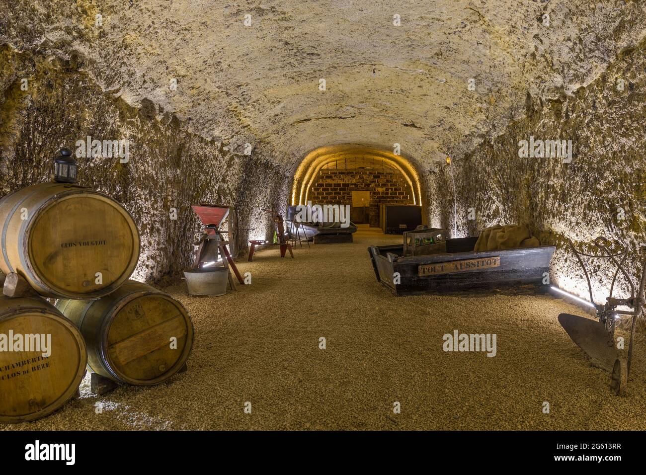 France, Indre et Loire, Loire valley listed as World Heritage by UNESCO