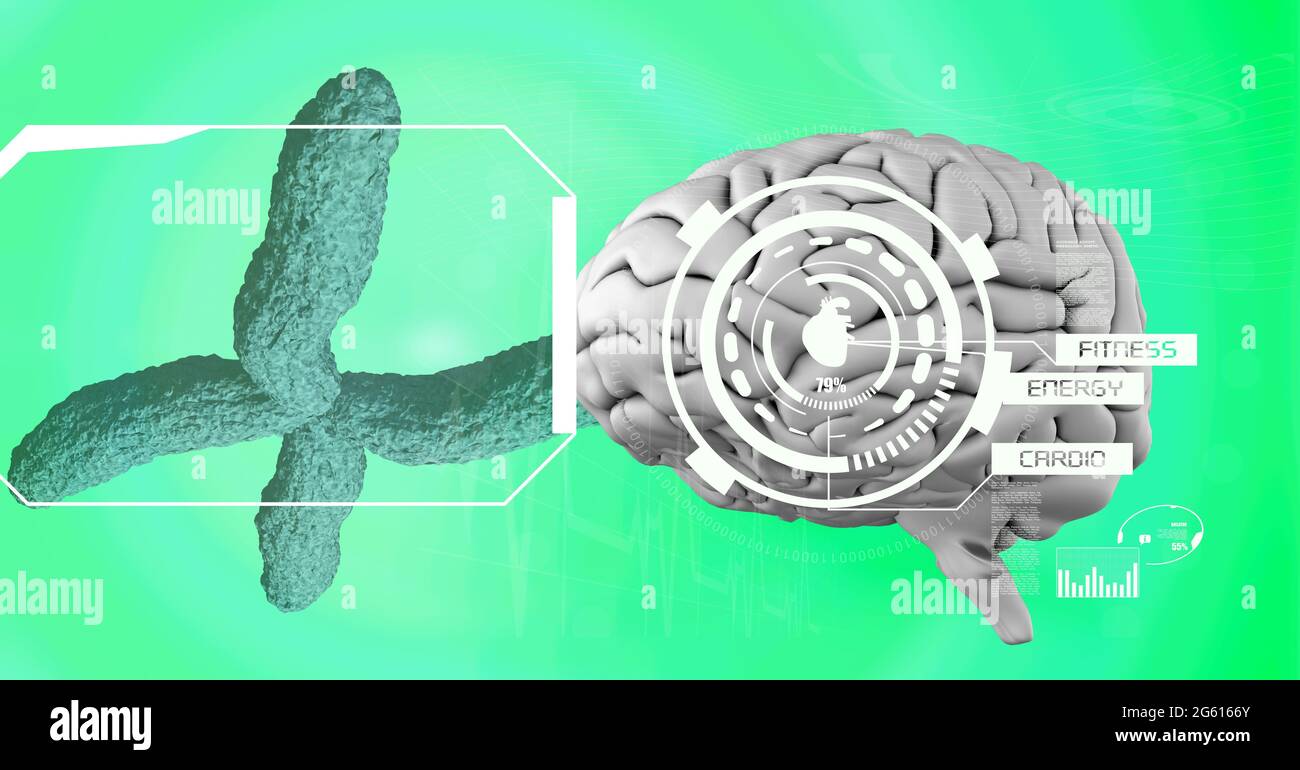 Digital interface with medical data processing over human brain against ...