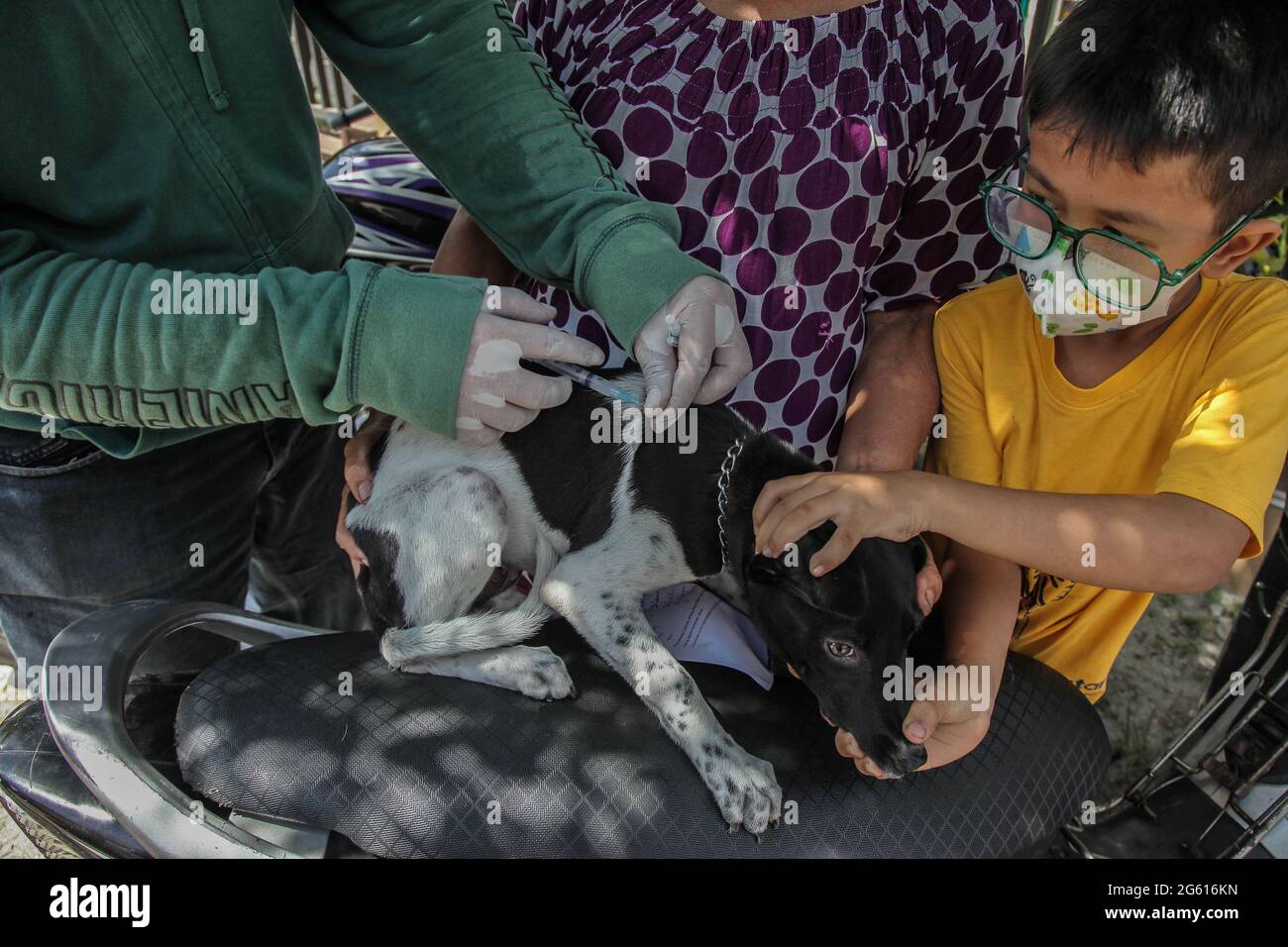 Medan, North Sumatra, Indonesia. 28 June, 2021. A child beside a mother to holding their dog's as Indonesian health workers vaccinate during a mass vaccination of animals with suspected rabies on June 28, 2021 in Medan, Indonesia. The local government from the Medan Health Service proposed the procurement of 1,000 vials of rabies vaccine to avoid further fatalities. Currently, at least 240 pet dogs have been vaccinated against rabies after a ten-year-old boy was found to have died from the bite of a neighbor's dog who was suspected of having rabies on Sunday, June 13. Credit:  Ivan Damanik/Ala Stock Photo