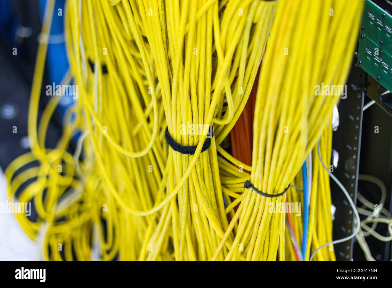 The yellow network cables in the server room for connecting to a network Stock Photo