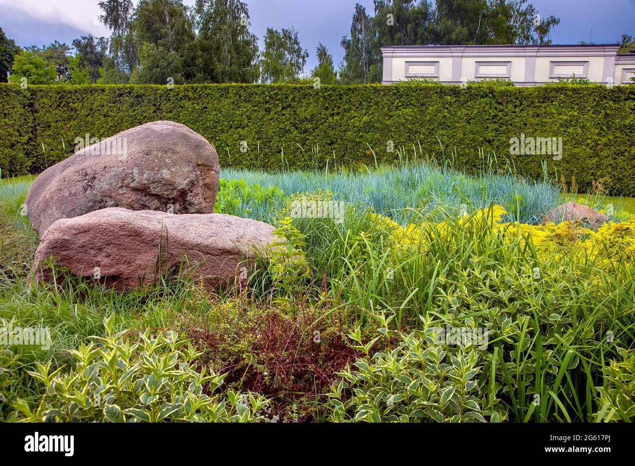 Ornamental grass rockery garden hi-res stock photography and images - Alamy