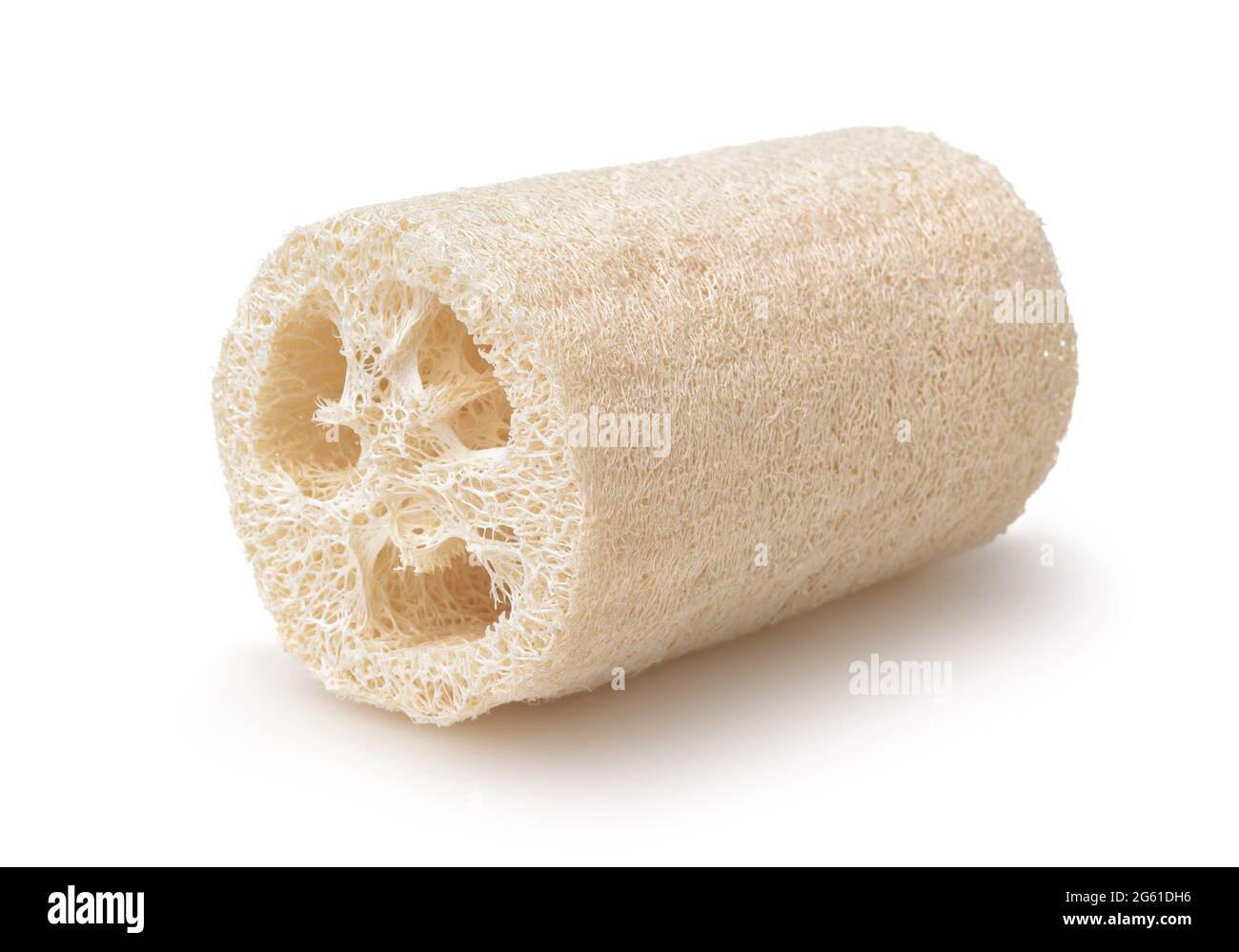 Spugna Luffa naturale. Rottami di carrozzeria con spugna naturale Foto  stock - Alamy