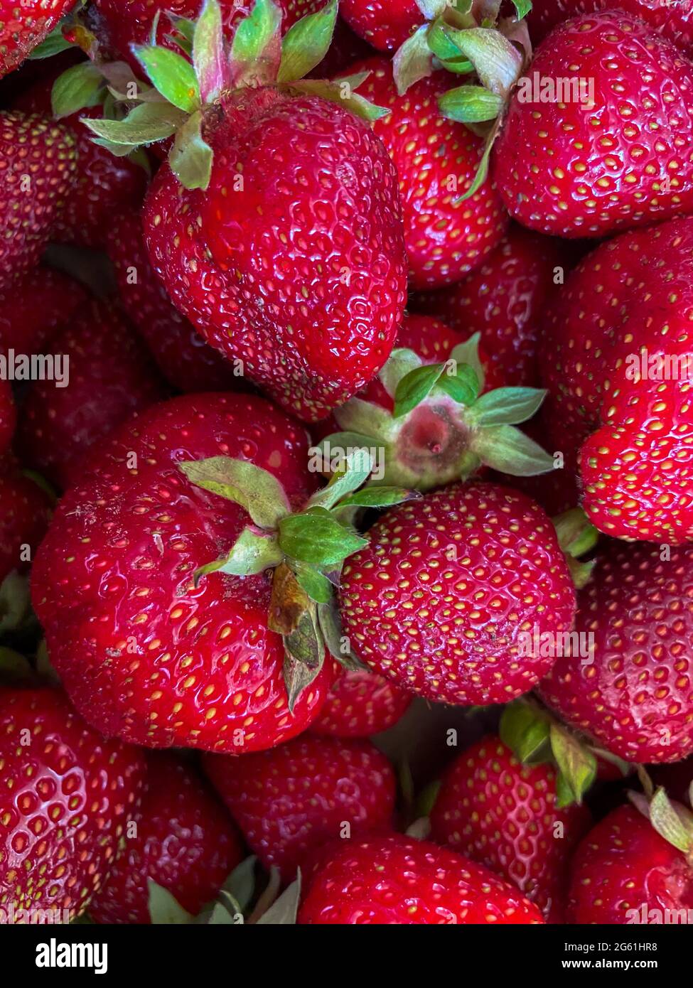 Strawberry background full frame. Ripe homemade strawberries Stock ...