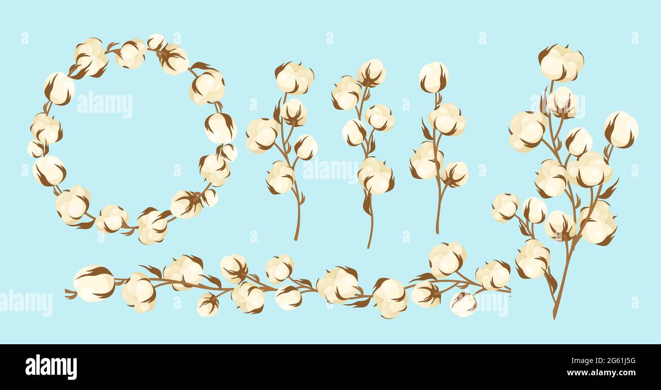 Cartoon flat cottonseed branch with white textured flower bolls, natural raw materials for eco textile industry, manufacturing high quality cotton Stock Vector