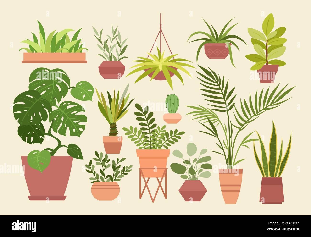 Plant in pot vector illustration set, cartoon flat different indoor potted decorative house plants for interior home or office decoration isolated Stock Vector