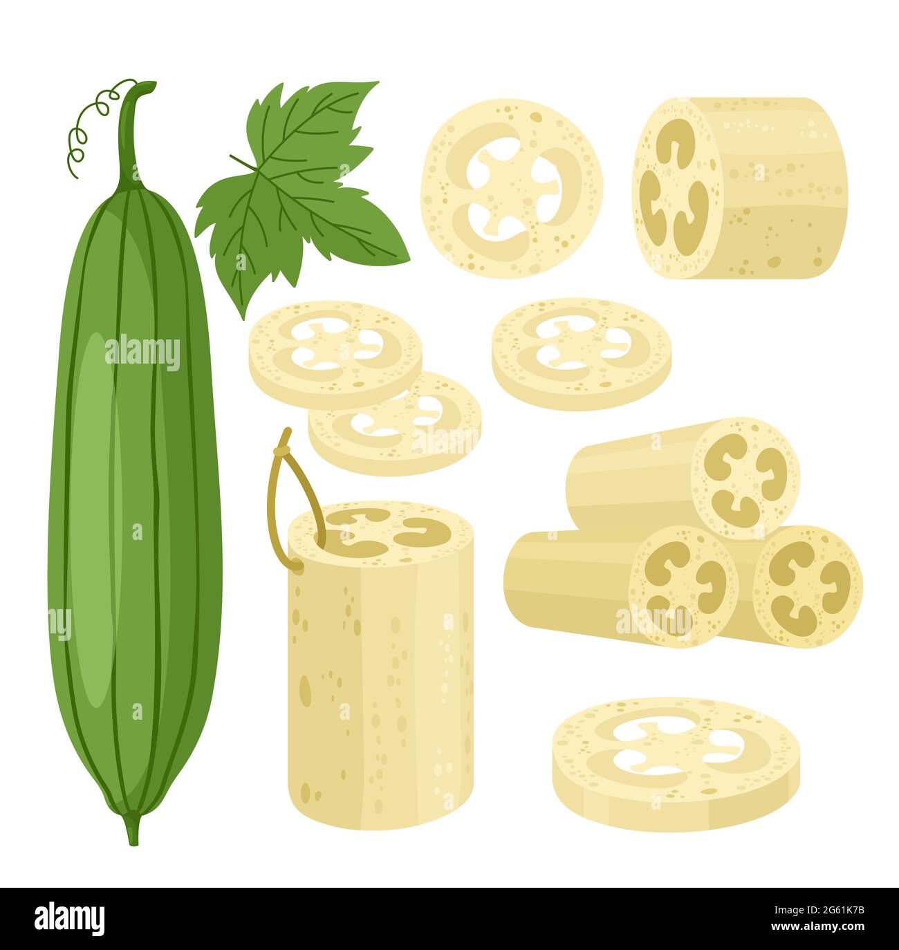 Cartoon flat loofa collection with organic bath accessory for scrub body skincare, natural agricultural green luffa fruit and leaves icons isolated on Stock Vector