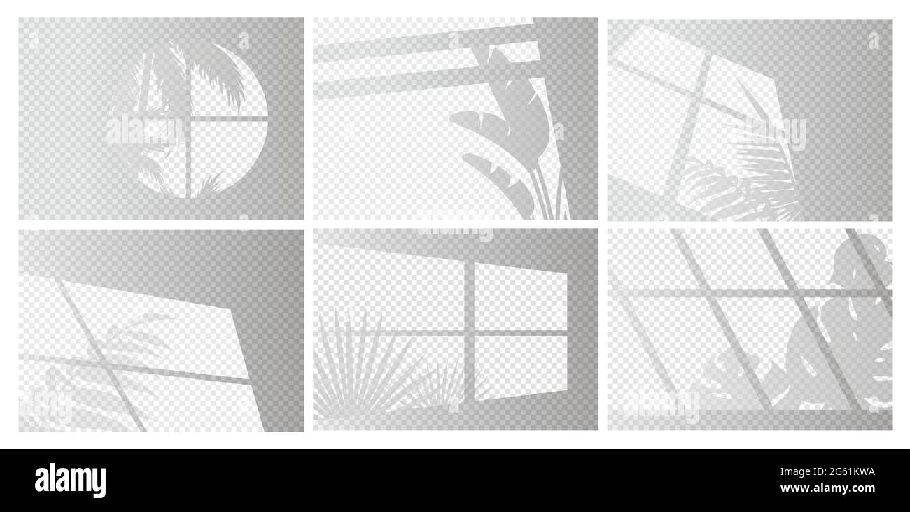 Plant light and shadow Cut Out Stock Images Pictures Alamy Plant light and shadow Cut Out Stock Images Pictures Alamy