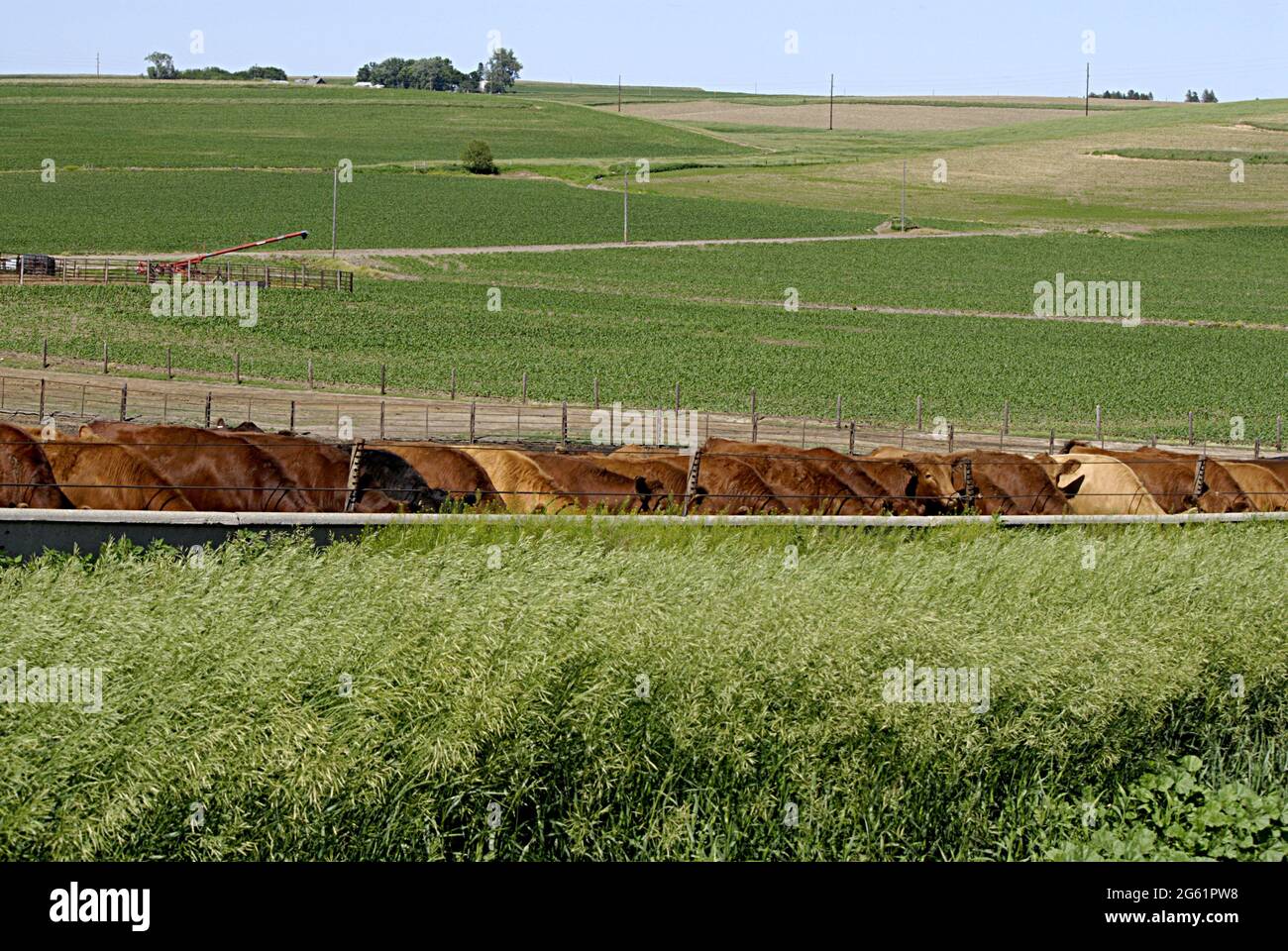 MERRILL/PLYMOUTH COUNTY/IOWA /USA Life in and surroundidng Merril USA ruler town in Plymouth